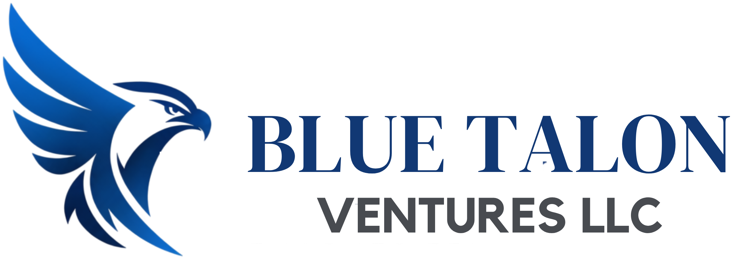 Blue Talon Ventures, LLC